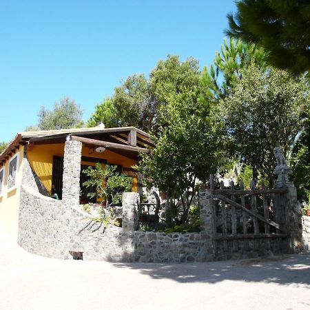 B&B Il Giardino Arbus Esterno foto