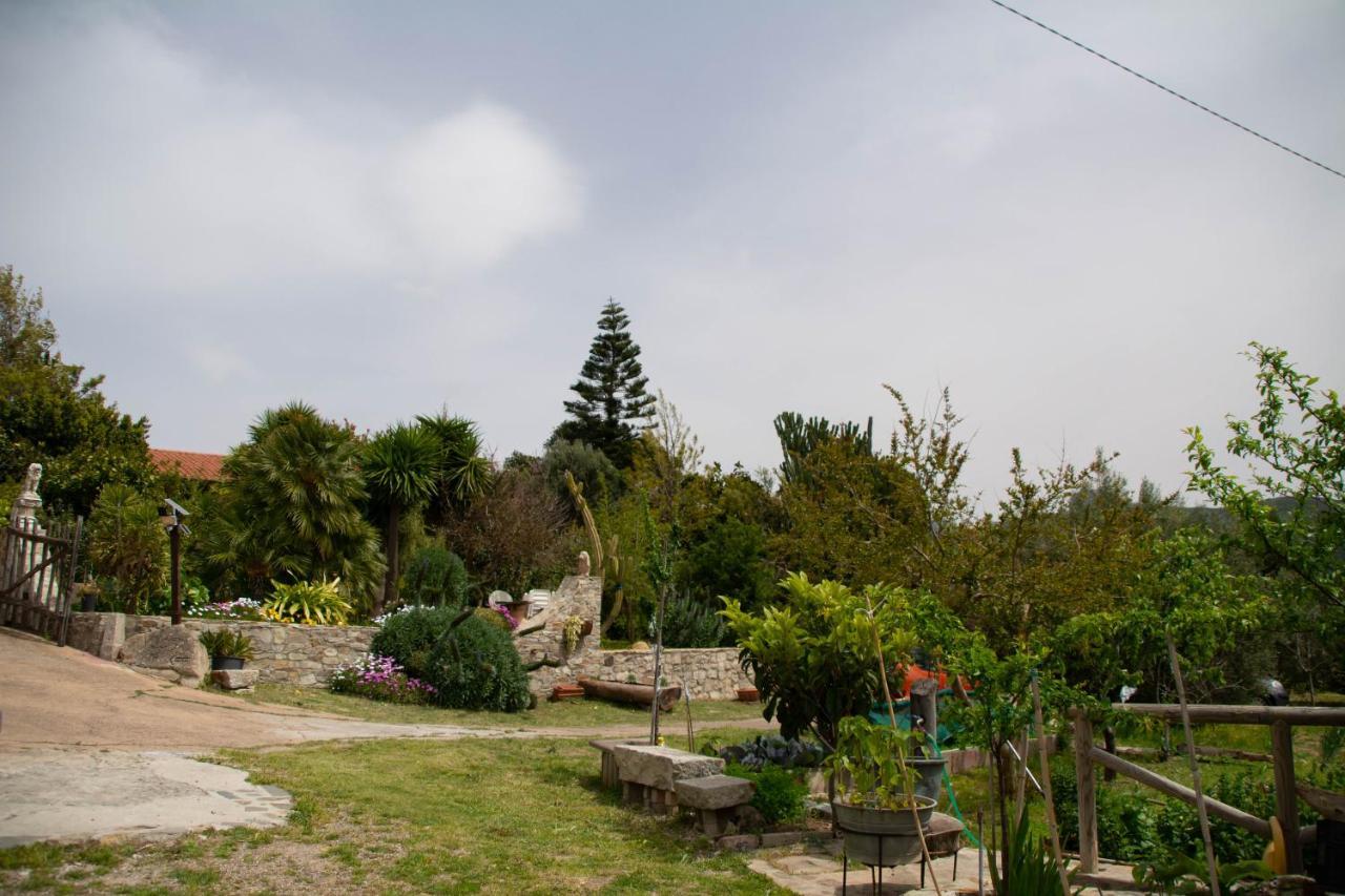 B&B Il Giardino Arbus Esterno foto